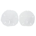 thumbnail image 1 of U.S. Shell 08005 1.25 in. Keyhole Sanddollar - 25 Piece, 1 of 1
