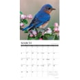 thumbnail image 3 of Backyard Birds 2026 Wall Calendar, (Paperback), 3 of 5