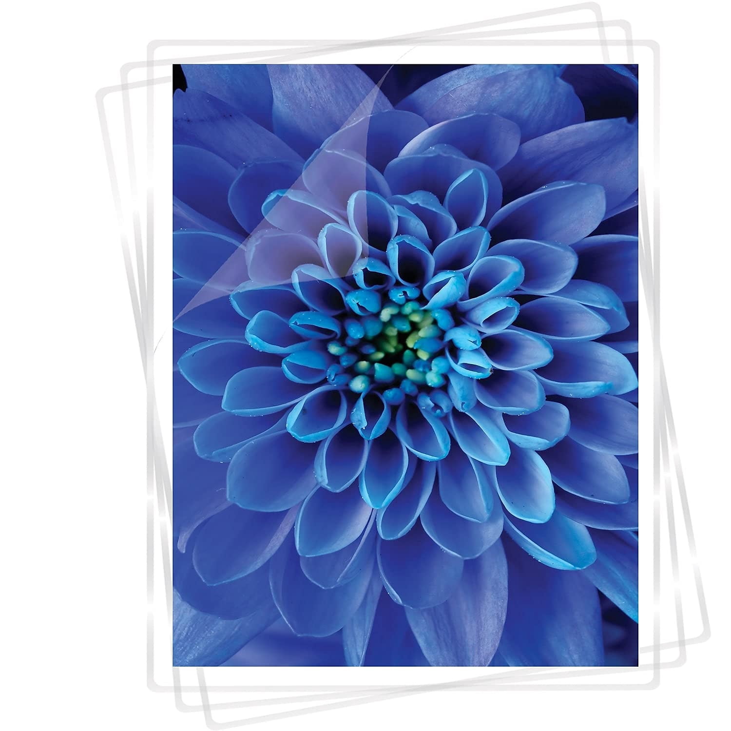 Fellowes Laminating Pouches, 7mil, 11 1/2 x 9, 100/Pack