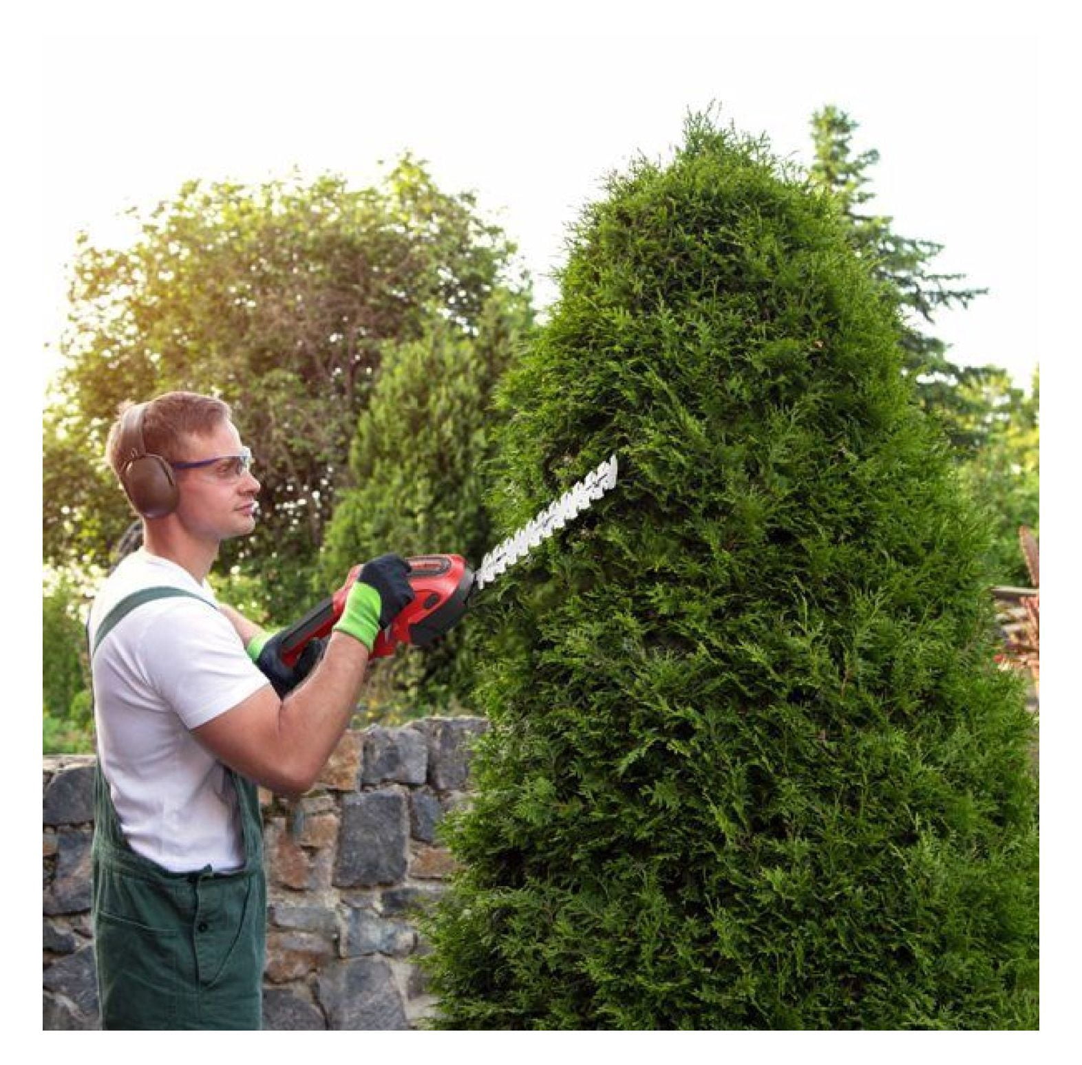 24V Cordless Handheld Grass Shear Hedge Trimmer with 90° Cutting Angle 2Pcs Replaceable Blades Electric Shrub Trimmer Hedge Cutter with Detachable Battery for Garden Lawn