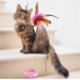 thumbnail image 2 of Cat Teaser Wand Toy Silicone Adjustable Collar, Feather With Bell, Interactive Cat Teaser For Indoor Cats Kittens Pink, 2 of 5