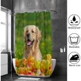 thumbnail image 3 of Coolnut Bath Shower Curtain Liners Golden Retriever Sitting in Tulip Flower Fields 66x72in Polyester Waterproof with 12 Curtain Hooks, 3 of 4