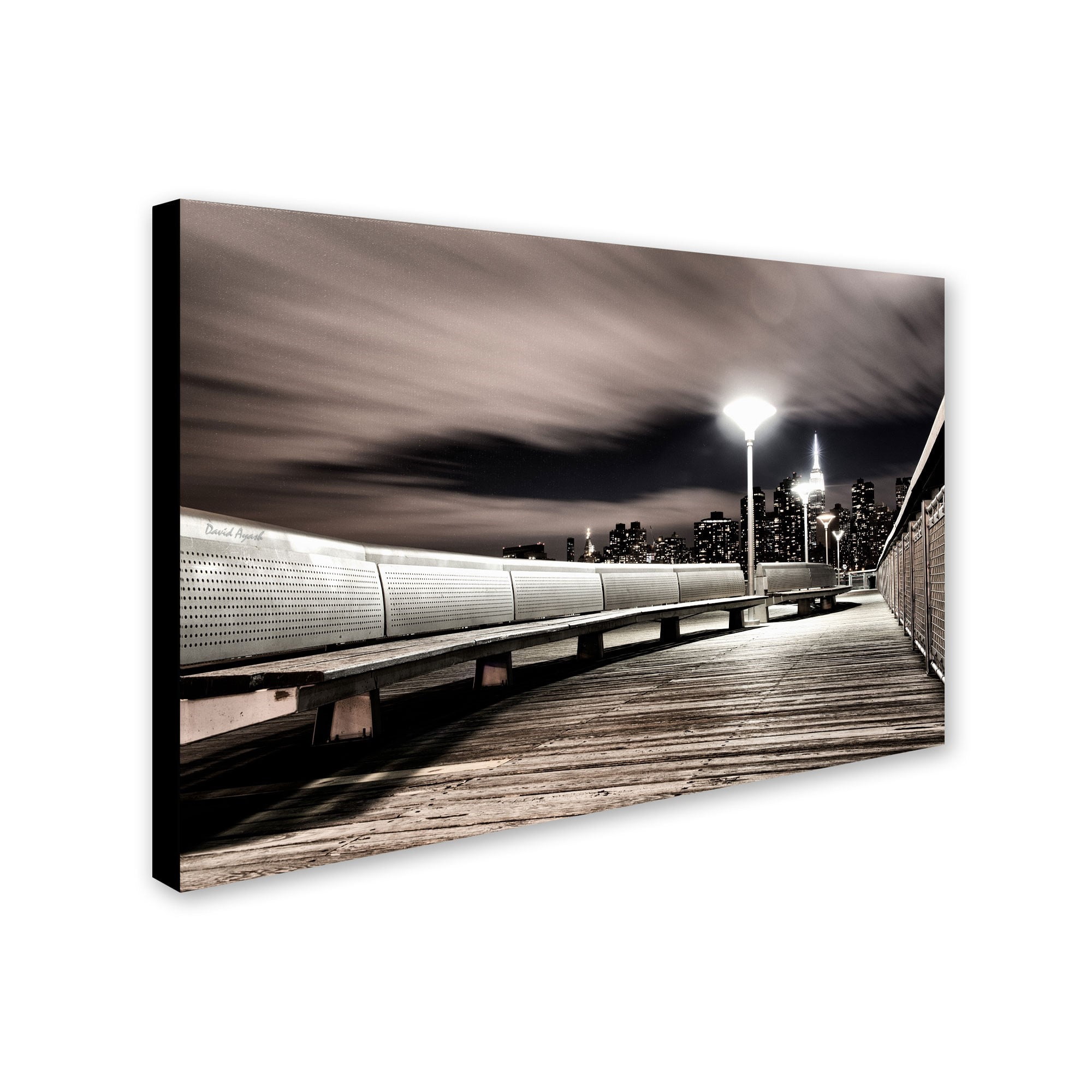 Trademark Fine Art "NYC" Canvas Art by David Ayash