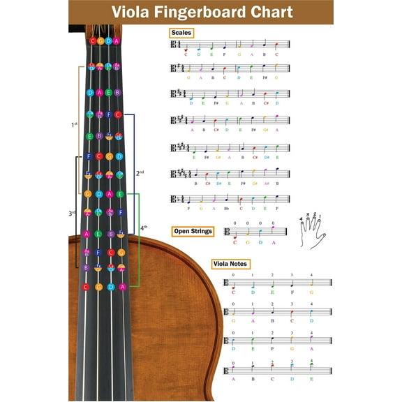 Viola Fingering Chart with Color-Coded Notes poster  Viola Scales Techniques Suitable for All Levels