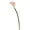 Pink, variant on Vickerman 26'' Artificial Pink Calla Lily Stem, 6 per Bag