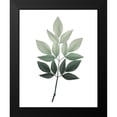 thumbnail image 2 of Kimberly, Allen 12x14 Black Modern Framed Museum Art Print Titled - Botanical Greens 2, 2 of 5