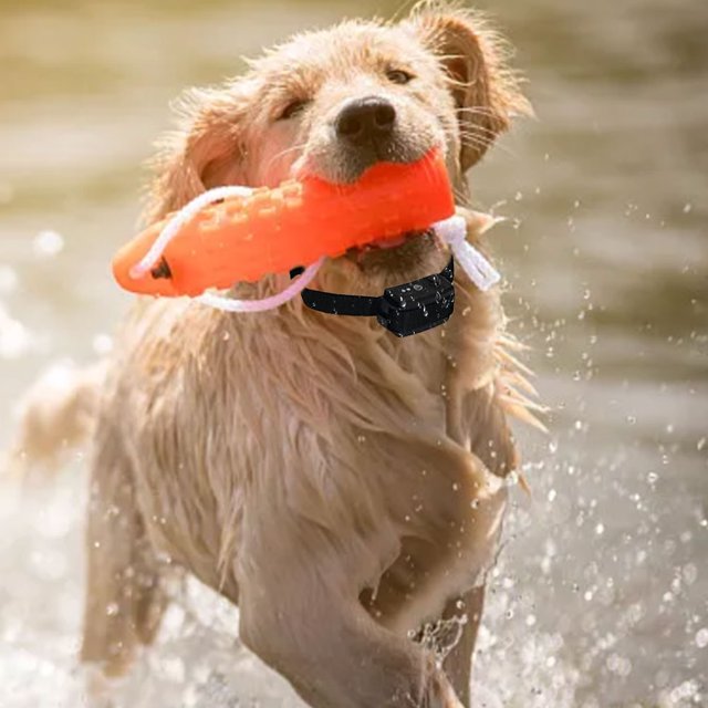 Cerca Eléctrica Para Perros Collar de entrenamiento electrónico, práctico sistema de contención de mascotas, suministros útiles para mascotas