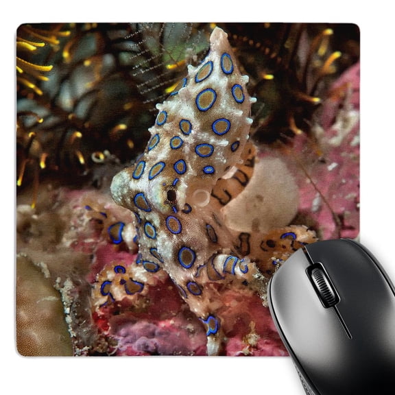 3dRose, Indonesia, Papua, Raja Ampat. Scenic of blue-ring octopus and coral., MousePad