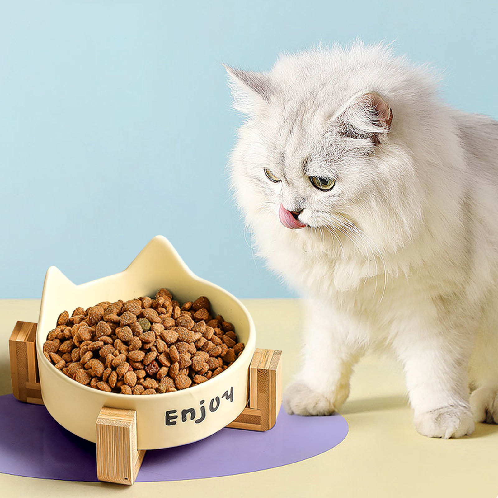 Water Bowl for Cats Elevated Pet Food Bowls,Ceramic Food Bowl for Pet Bowls for Cats,Small Dog Bowls for Puppies,Dog Bowls for Small Dogs