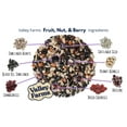 thumbnail image 5 of Valley Farms Fruit Nut & Berry Wild Bird Food, 5 of 12