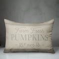 thumbnail image 3 of Creative Products Farm Fresh Pumpkins 20 x 14 Spun Poly Pillow, 3 of 3