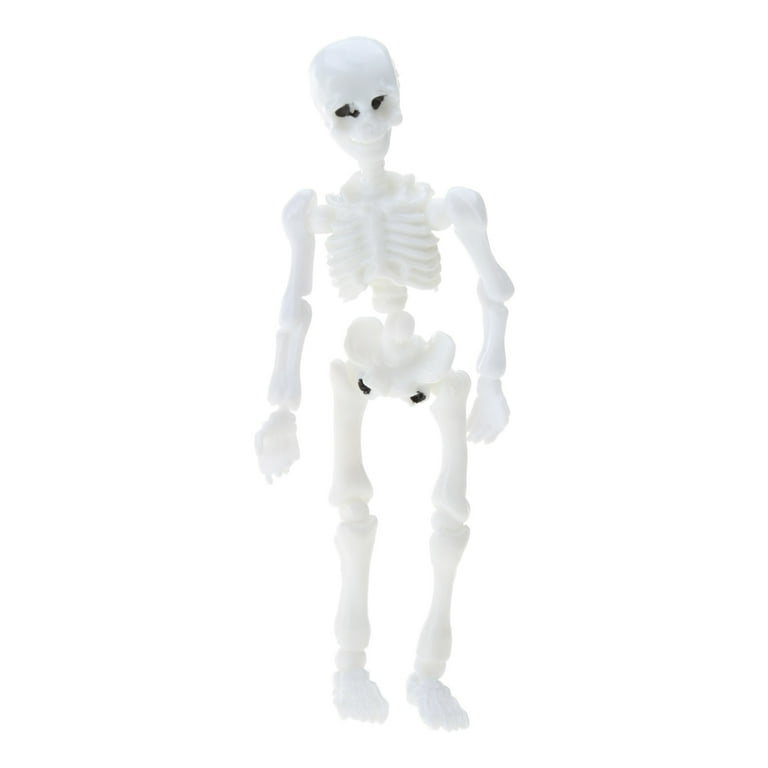 藤井保　SKELETON zx-s130-human-skeleton-