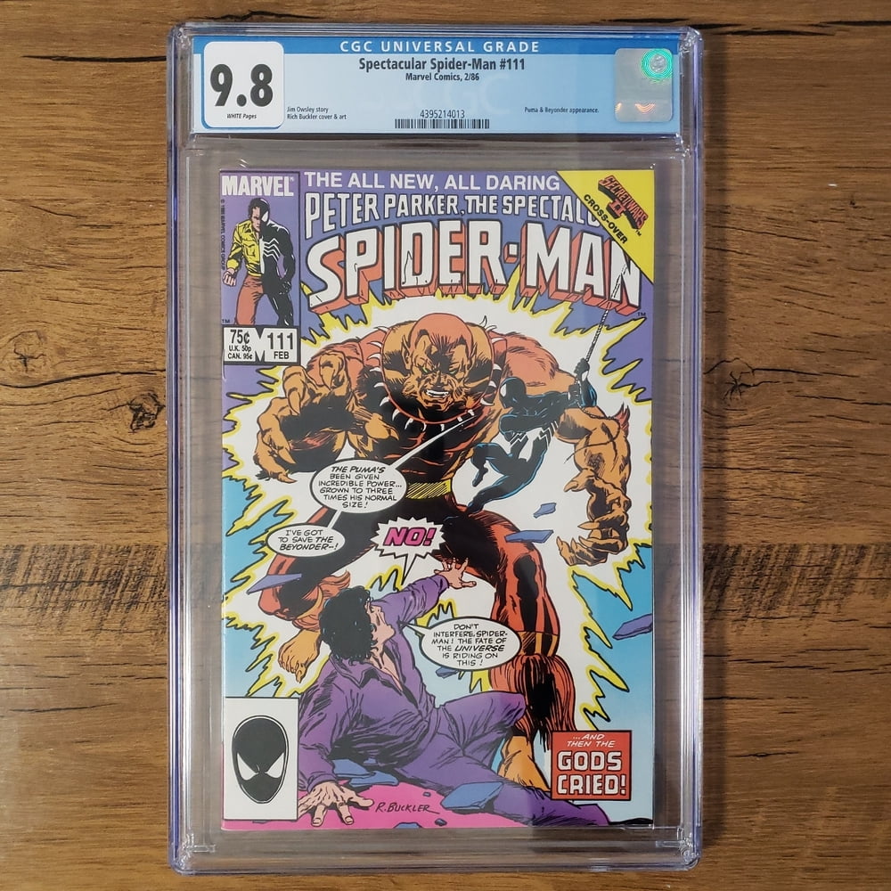 Cover of The Spectacular Spider-Man #111