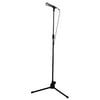 Microphone And Stand