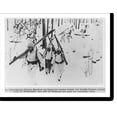 thumbnail image 2 of Historic Framed Print, [German troops in winter uniform, 1942: ski troopers in Finland (Karelia or Lapland) December].by Gabel., 17-7/8" x 21-7/8", 2 of 9