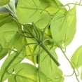 thumbnail image 3 of Bearachild Hojas falsas enredaderas plantas colgantes artificiales hoja interior para habitación jardín fiesta porche decoración accesorio tipo Type3 NO3, 3 of 6