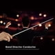thumbnail image 3 of Professional Music Baton Concert Director Interpretación Wand () Amarillo, 3 of 9