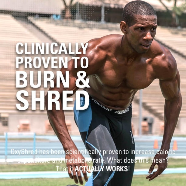 l carnitina antes de entrenar Alpha Supps Carnitine Lquido 3000 | Suplemento L-Carnitina sin estimulantes para hombres y mujeres | Aumento de energa del entrenamiento y recuperacin muscular L-Carnitina la energa y quema