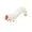 H001- orange, variant on Squeeze Stress Toys Slug Squeeze Toys Spiked Caterpillar Model Squeeze Toys Birthday Gift for Student 1 Pc Lime Green