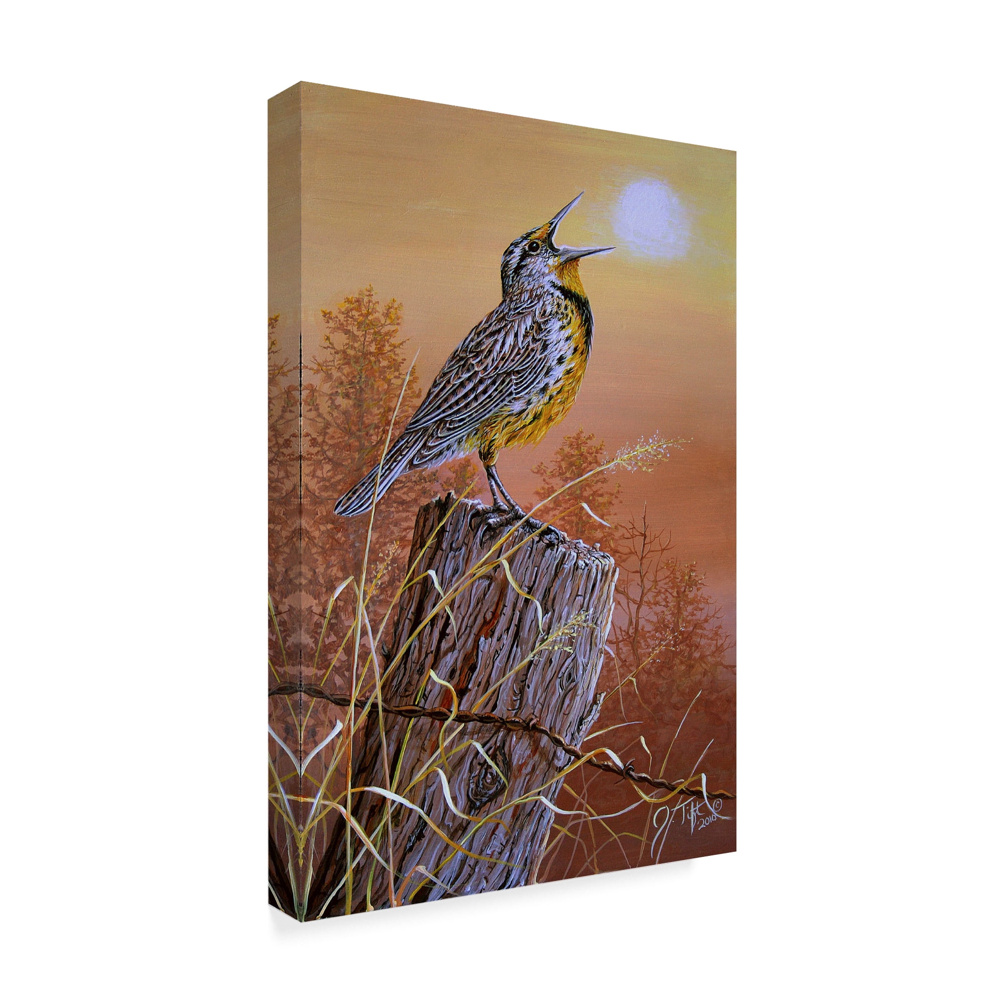 Trademark Fine Art 'Meadowlark Painting' Canvas Art by Jeff Tift