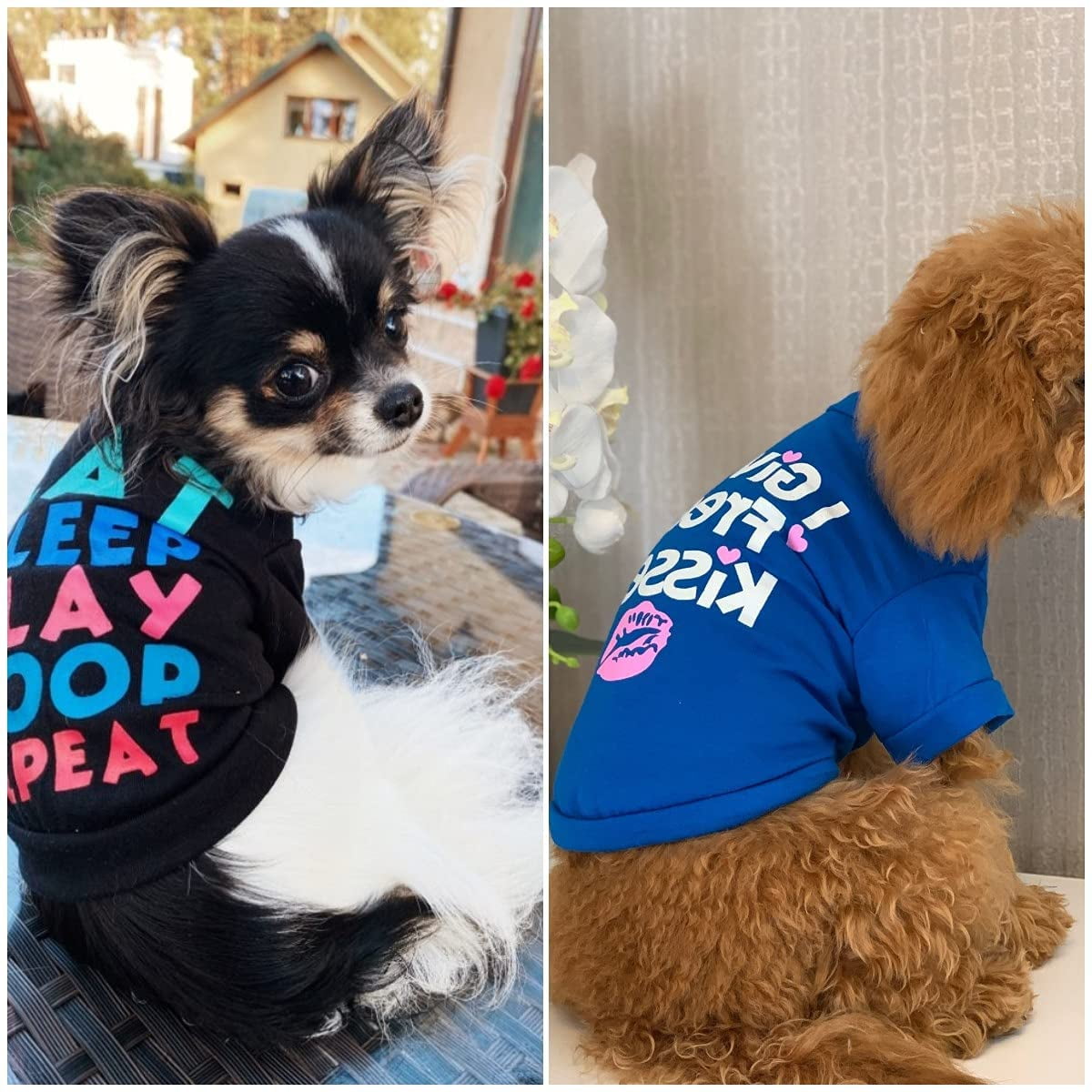 Super Cute Pet Clothing Colorful Dot Print Shirt Dog Clothes/Cat