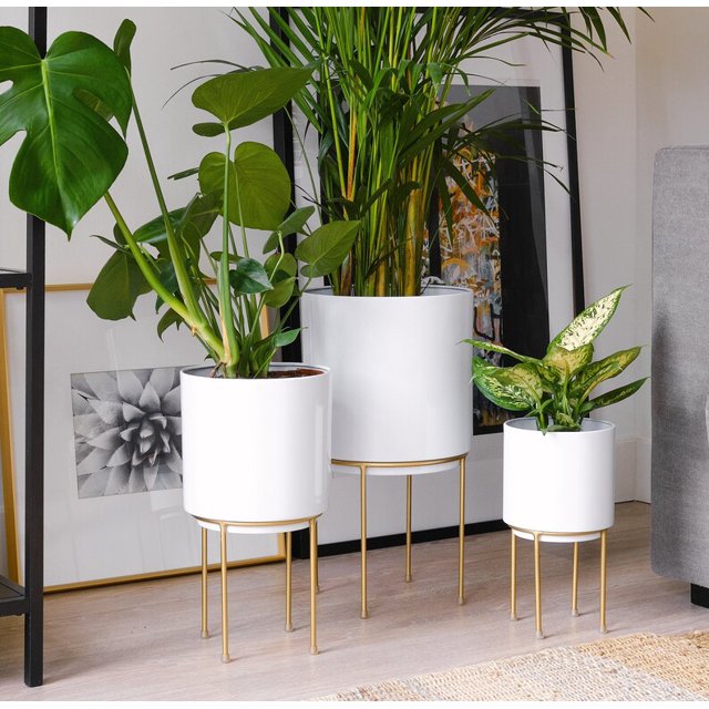 Black Lava Rock Top Dressing Soil Cover for Succulents Plants