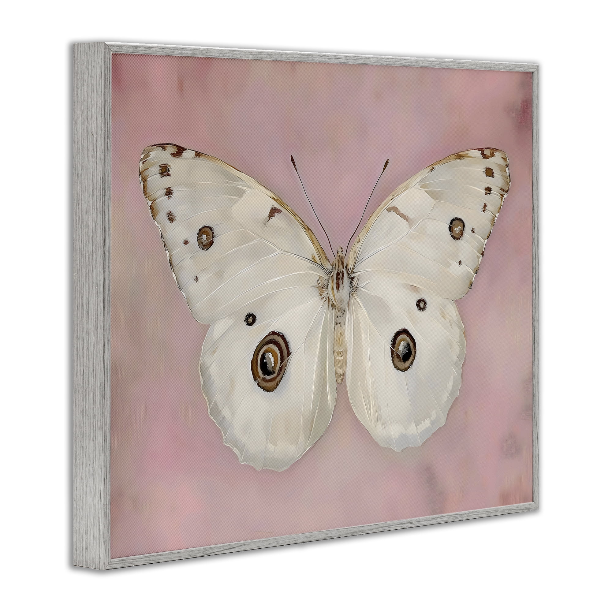 Stupell Industries Gossamer Butterfly on Blush Background Gray Framed Giclee Art, design by Arlington Prints