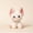 Pure White Devon Rex, variant on GlobalBreeze Cute Devon Cat Plush Toy, Soft Calico Siamese Stuffed Animal Doll, Adorable Kitty Plushie Pillow, Fluffy Cuddly Sleeping Companion, Cozy Hugging Toy, Birthday Gift for Girls Kids