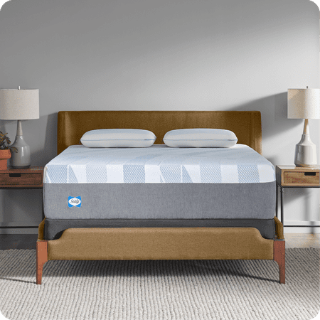 Sealy - Sealy® Dreamlife™ 14” Foam Mattress-in-a-Box, Queen - White