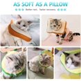 thumbnail image 3 of 2 collares ajustables de recuperación para gatos, lindos conos para el cuello, conos para perros, cicatrización de heridas, collar Queen Elizabeth con bordes suaves que protegen a los gatitos y gatos JAMW Sencillez, 3 of 3