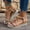 Khaki, variant on Women's Bohemian Heel Sandals, Beaded Decor & Elastic Ankle Strap, Open Peep Toe Platform Espadrilles, Comfortable Summer Casual Beach Shoes Khaki 36