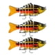 thumbnail image 2 of Soidarity Paquete de 3 señuelos de pesca de plástico de agua salada cebo falso atracción al aire libre Swimbaits artificiales Crankbait accesorio 10cm Pescar Tipo 10 Soidarity OD023723-10, 2 of 6