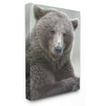 thumbnail image 2 of The Stupell Home Decor Collection Most Interesting Bear Wall Art, 2 of 6