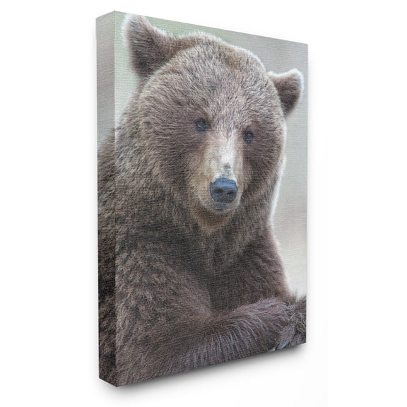 The Stupell Home Decor Collection Most Interesting Bear Wall Art