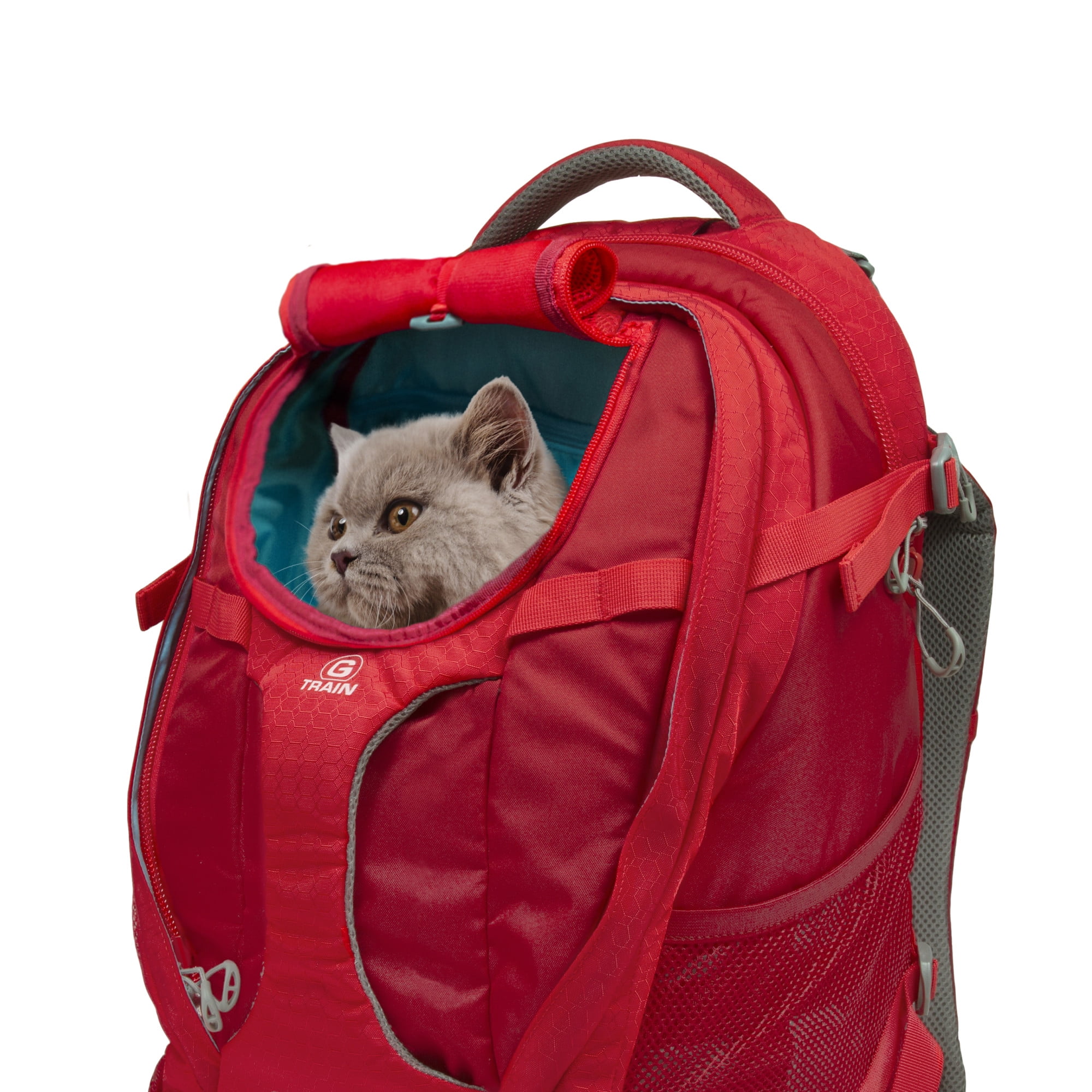 Kurgo G-Train Dog Carrier Backpack for Small Pets Cat & Dog Backpack for Hiking, Camping or Travel Chest Straps & Hip Belt Reflective Two Water Bottle Sleeves Chili Red