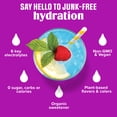 thumbnail image 5 of Ultima Replenisher, Electrolyte Drink Mix Packets, Sugar Free Daily Hydration Powder, Fruitastic Variety Pack, 8 Count Stickpacks, 5 of 11