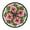 Petunias With Green Leaves, variant on Indoor 12' Voice-Activated Luminous Decoration Wall Clock With LED Night Light Olive Branches with Leaves