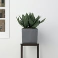 thumbnail image 5 of 12" Carré Planteur, 5 of 5