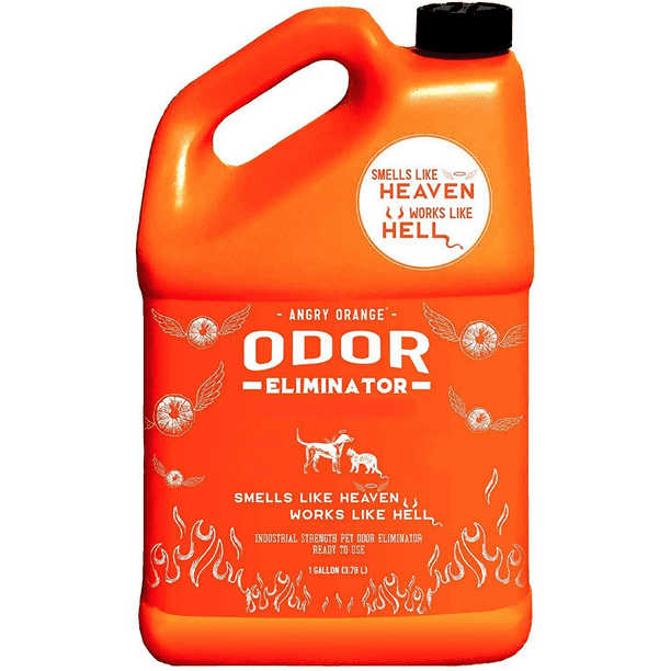 Angry Orange Pet Odor Eliminator for Urine Stains for Dogs & Cats