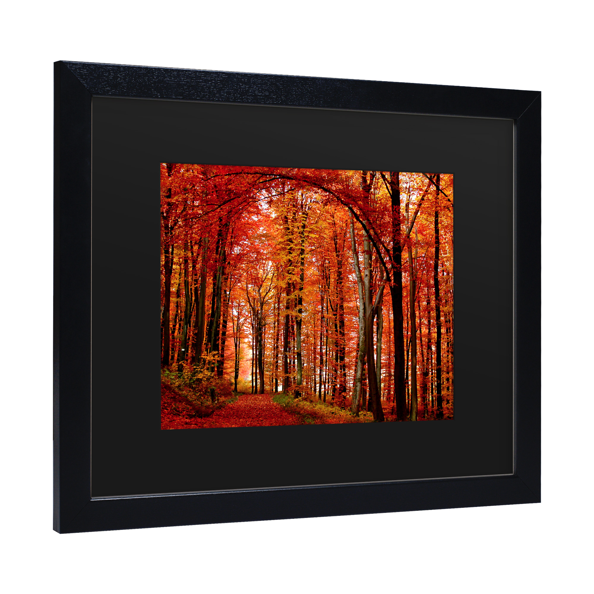 Trademark Fine Art 'The Red Way' Canvas Art by Philippe Sainte-Laudy