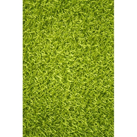Le House Sara Hand Woven Lime Green Area Rug