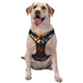 thumbnail image 1 of Saiise Prairie Meditating Raccoon Print Dog Harness and Leash Set, No Pull Soft Mesh Pet Harness, Reflective Adjustable Puppy Vest for Small Medium Large Dogs, Cats-Medium, 1 of 6