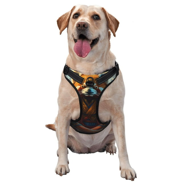 Saiise Prairie Meditating Raccoon Print Dog Harness and Leash Set, No Pull Soft Mesh Pet Harness, Reflective Adjustable Puppy Vest for Small Medium Large Dogs, Cats-Medium