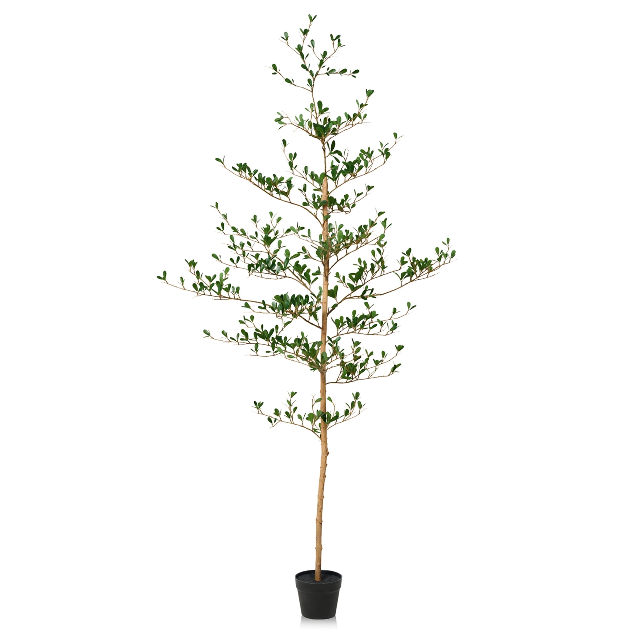 DR.Planzen 6ft Faux Black Olive Tree - Realistic Potted Artificial Tree with Natural Trunk & Silk Leaves - Tall Faux Plant for Home, Office, Indoor & Outdoor Decor - Low Maintenance & UV Resistant
