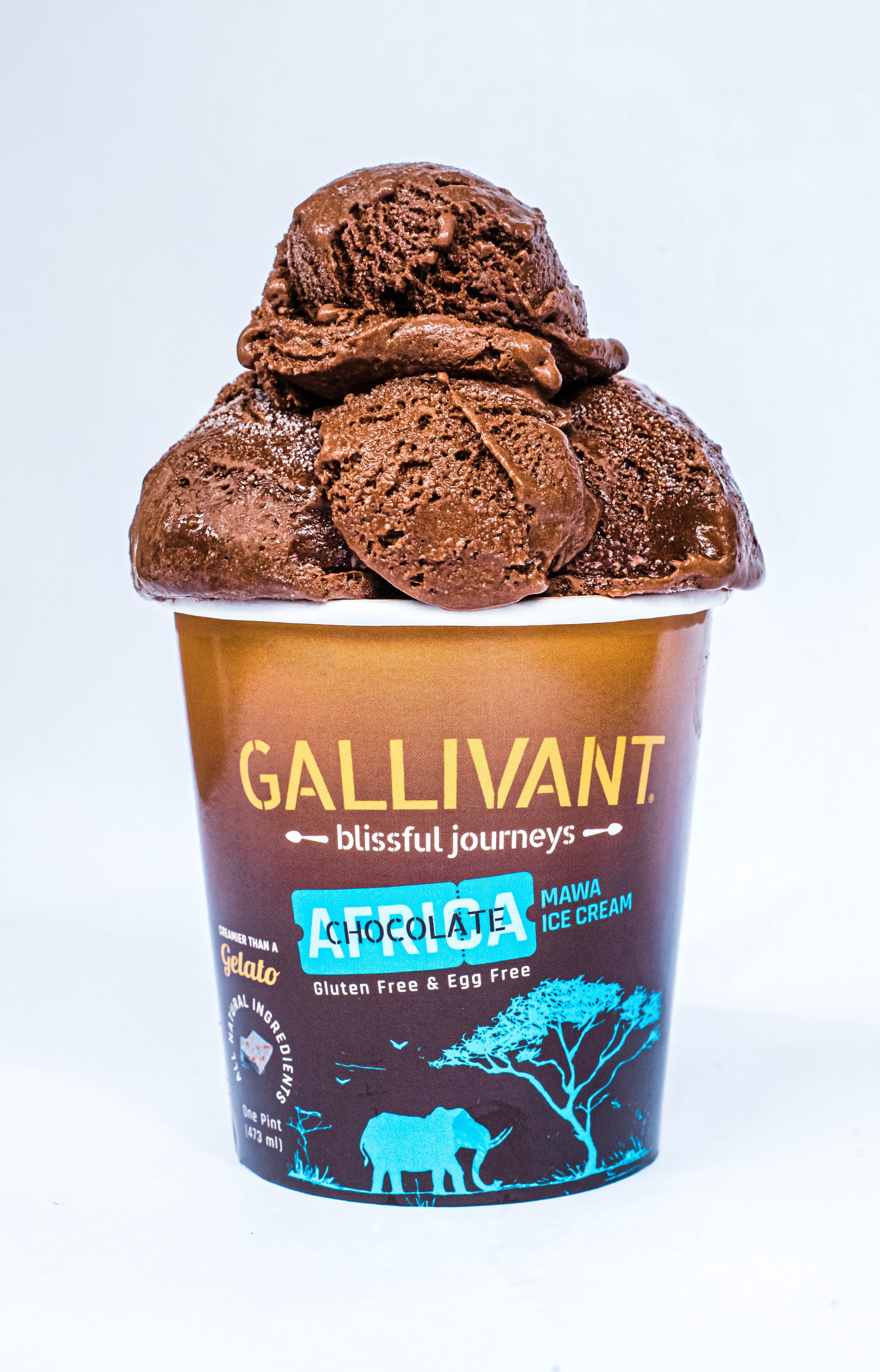 African Chocolate Mawa Ice Cream