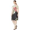 Adrianna Papell Plus Size Cap Sleeve Printed Scuba A-Line Dress Black/Ivory Multi