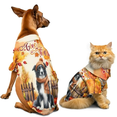 Happy Thanksgiving Border Collie Give Thanks Fall Beanie Scarf Welcome Hawaiian Summer Shirt for Small Medium Large Dog Cat Borders Dog Lovers Gifts Idea - 00020