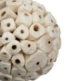 thumbnail image 2 of Vickerman Natural Botanicals 3.2" Sola Ata Ball, Natural Brown Preserved Dried Plant, 25 Per Pack, 2 of 2