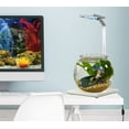 thumbnail image 7 of Penn-Plax Eco-Sphere Fishbowl and LED Light Kit – 1.1 Gallon, 7 of 7