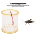 thumbnail image 3 of Circular  Cage, Circular  House Lightweight Circular Grasshopper Cage  Critter Breeding Cage For Kids Backyard Nature Adventure Exploration Tool, 3 of 8
